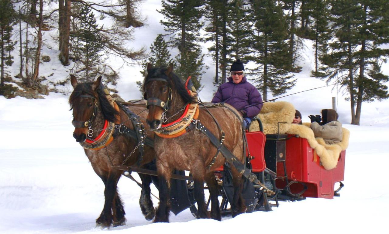 Hotel Roseg-Gletscher بونتريسنا المظهر الخارجي الصورة