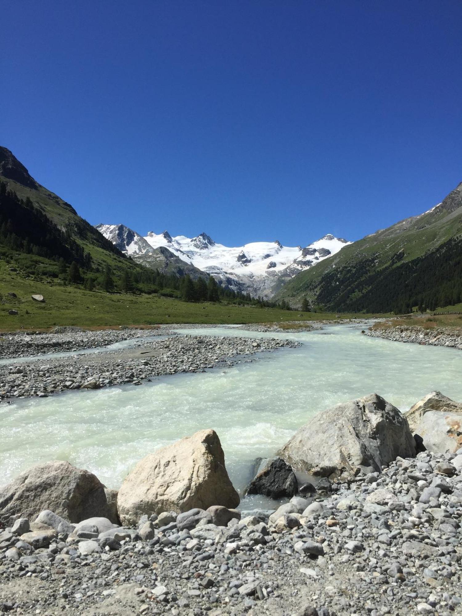 Hotel Roseg-Gletscher بونتريسنا المظهر الخارجي الصورة