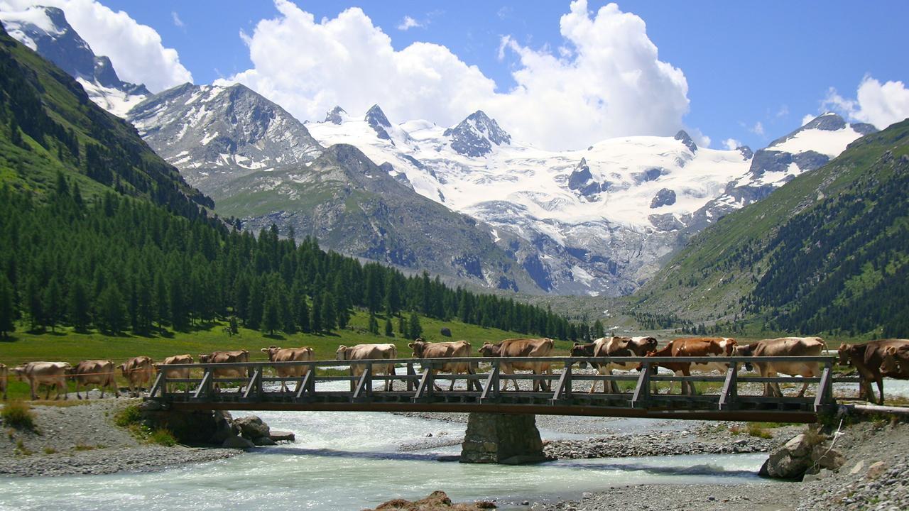 Hotel Roseg-Gletscher بونتريسنا المظهر الخارجي الصورة